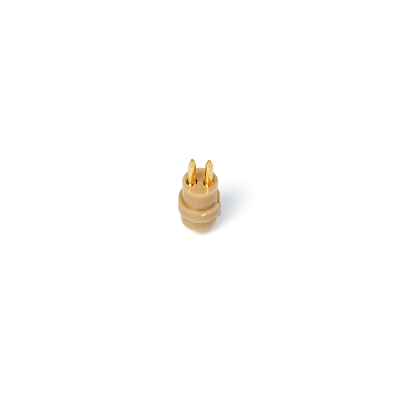 DSC05890.png