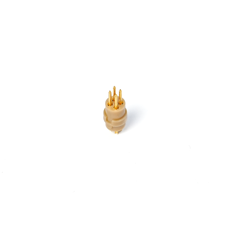 DSC05880.png