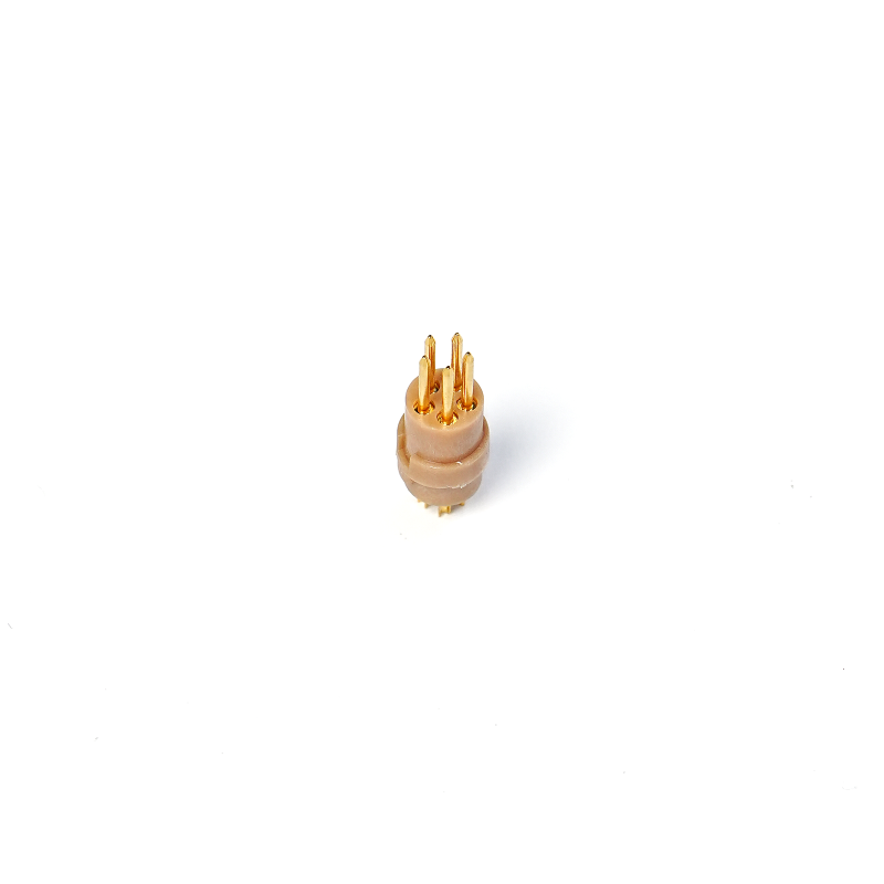 DSC05895.png