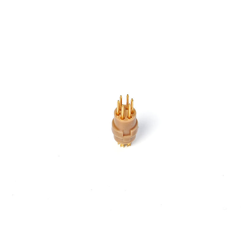 DSC05899.png